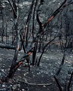 wounded_2013_untitled_004