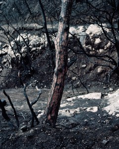 wounded_2013_untitled_005