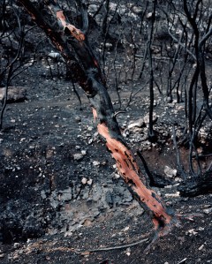 wounded_2013_untitled_009