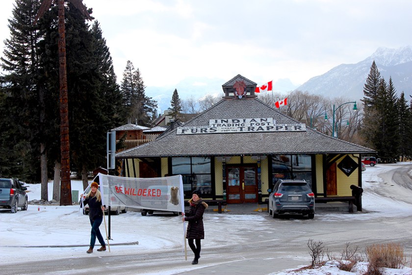 Bewildered in Banff a.