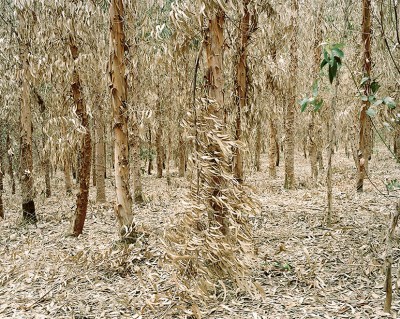 IA_CopperGeographies_05