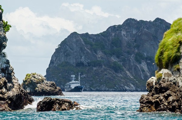 treasureoflima_dardanella