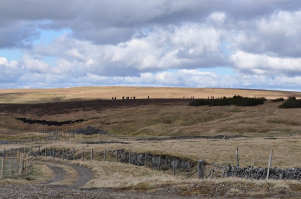 02_Layerscape_walks2