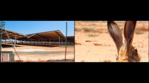 A_Cartography_of_Fantasia_Jakob_Kudsk_Steensen_2