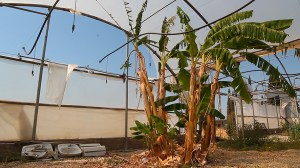 A_Cartography_of_Fantasia_Jakob_Kudsk_Steensen_7